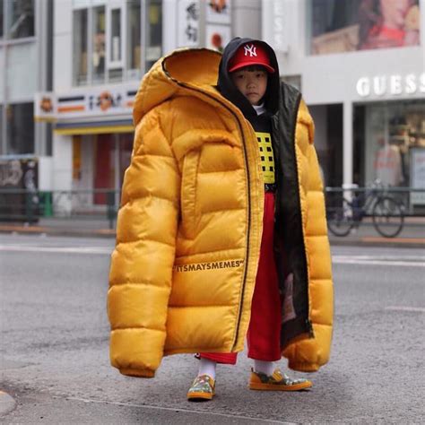 big puffer jacket meme.